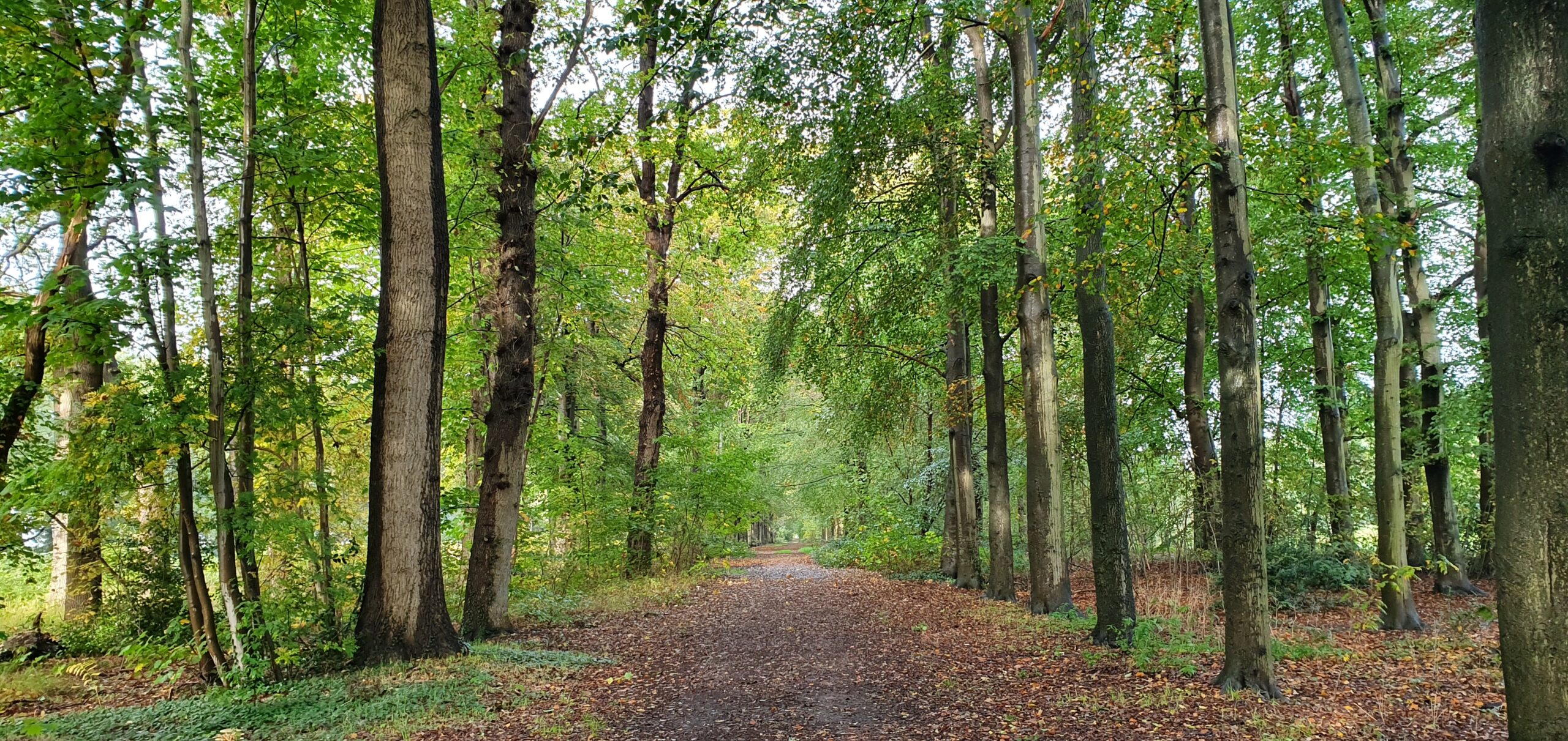 Nieuws 18 oktober