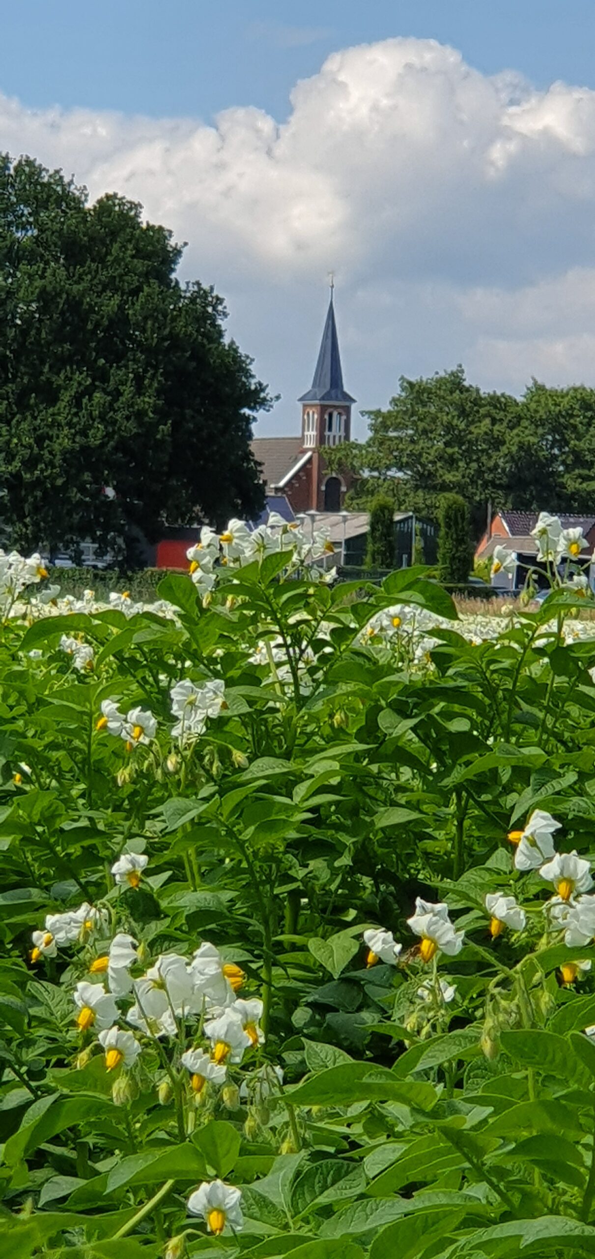 Nieuws 4 juli